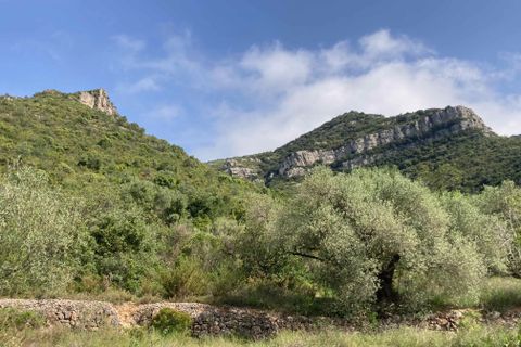 Landejendom i El Perello, Tarragona, El Perello - € 74.000 | Ref: FincaVistaValle - foto 29